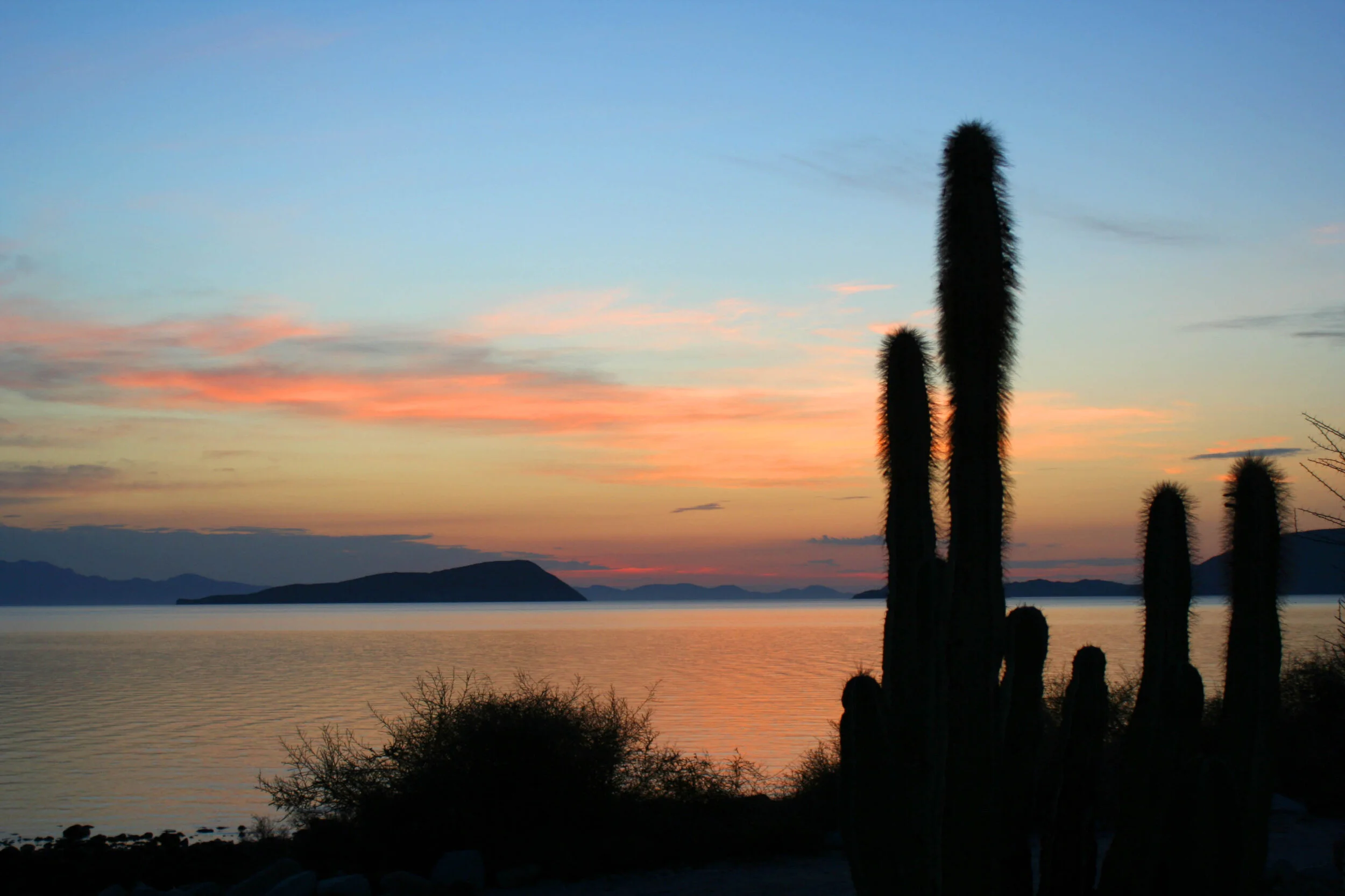 Our Run on the Festival Circuit Draws to a Close