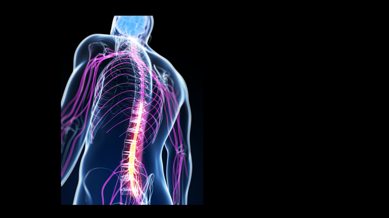   Spinal    Treatment    LEARN MORE  