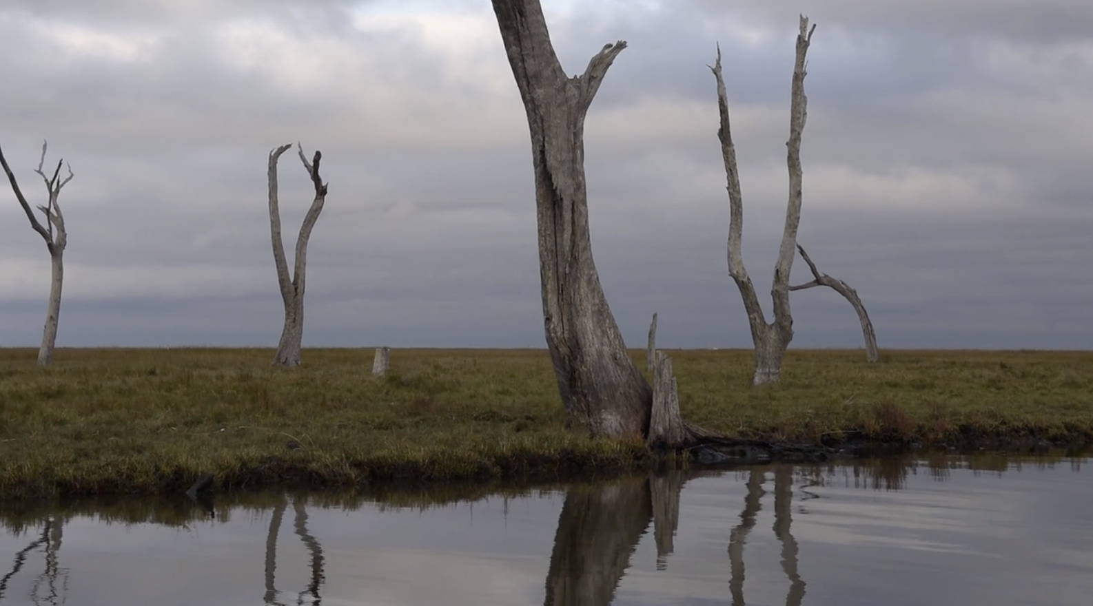 Screen Shot 2020-02-26 at 5.33.12 PM.png