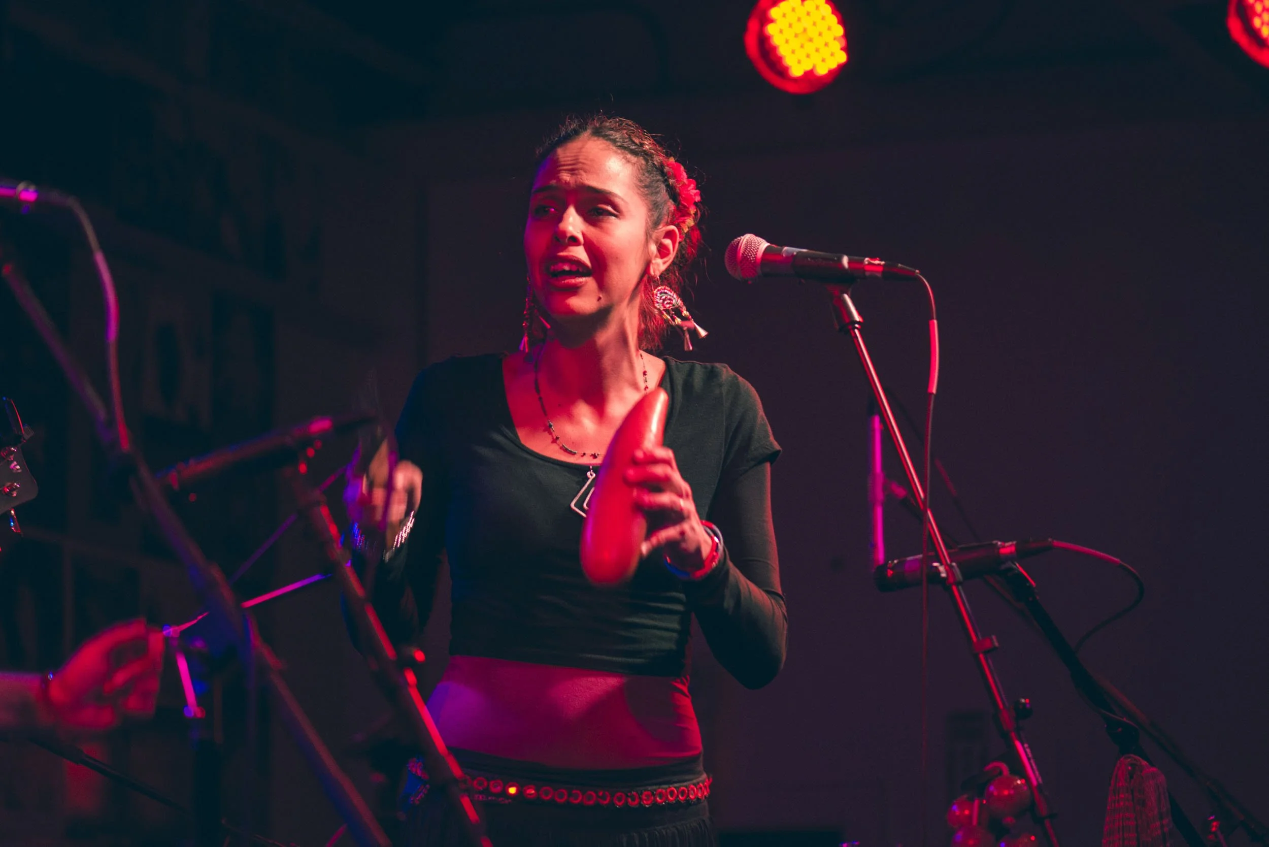 Concert-Photography_137.JPG