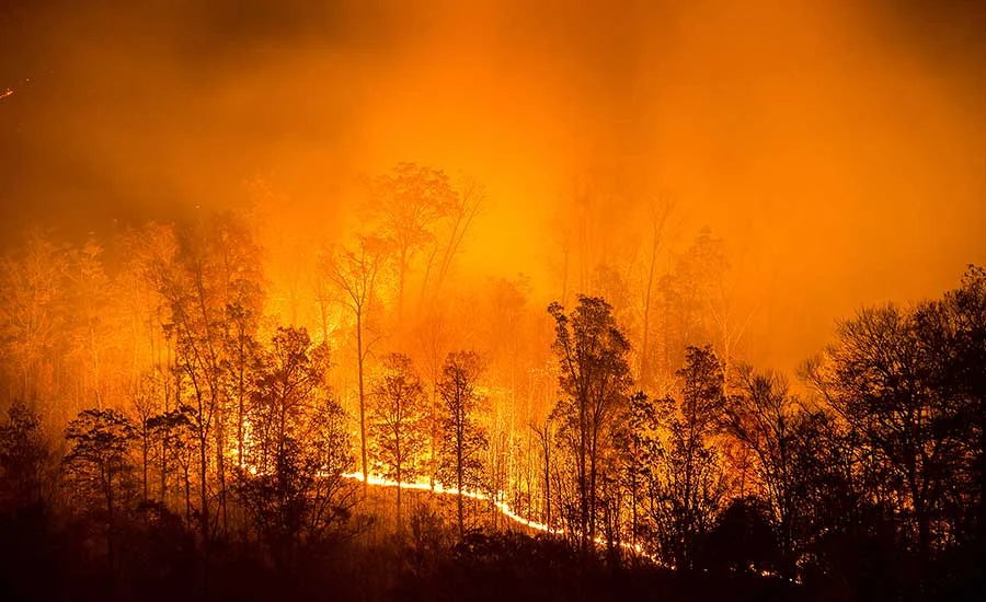 Full Motion Video (FMV) content acquired by small Unmanned Aircraft Systems (sUAS) and manned aircraft are contributing sources to FireCast, however hand-held FireCast processing implementations are being considered too.