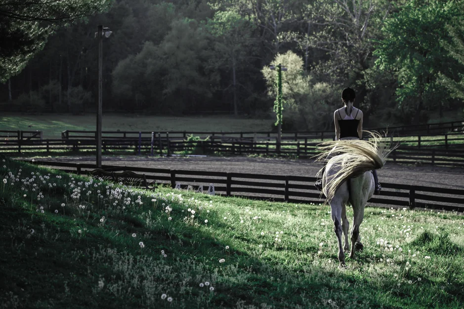 Virginia Equine Green