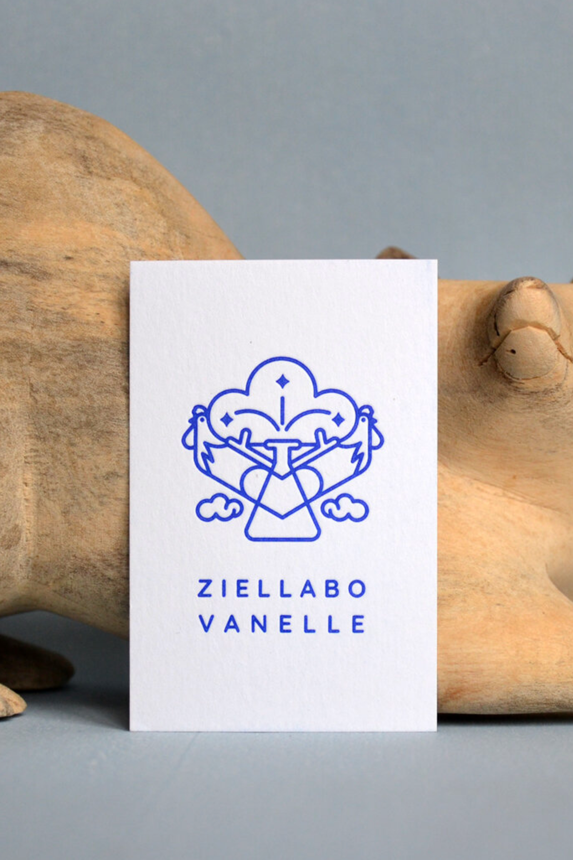 Logo & Branding, Ziellabo Vanelle