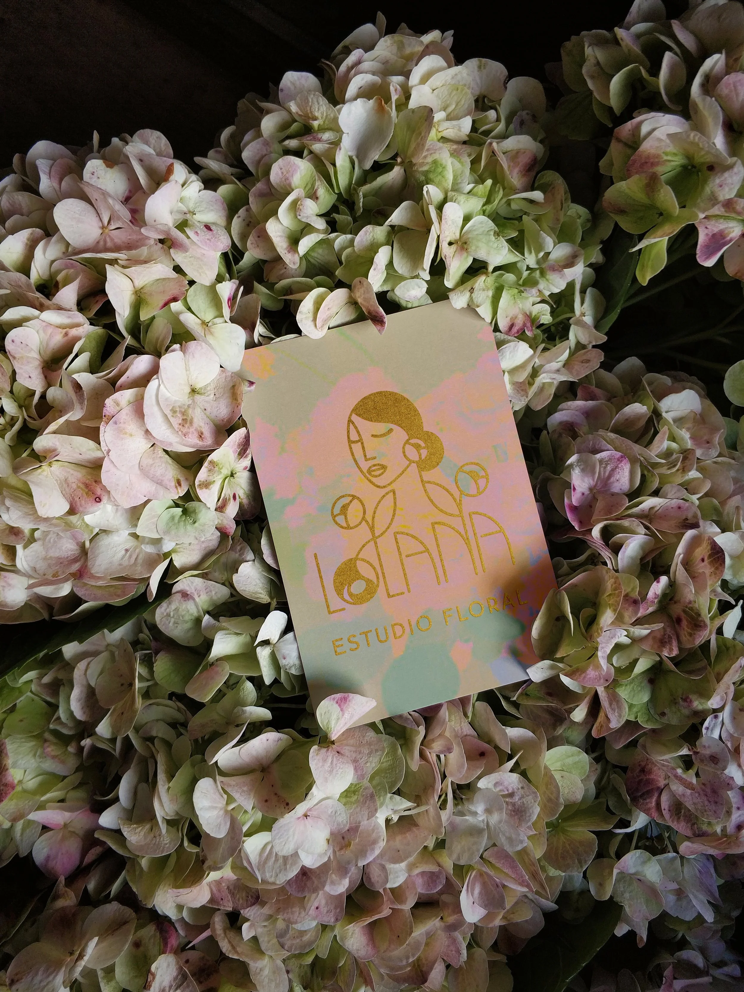 Logo & Branding Lolana, Estudio Floral.