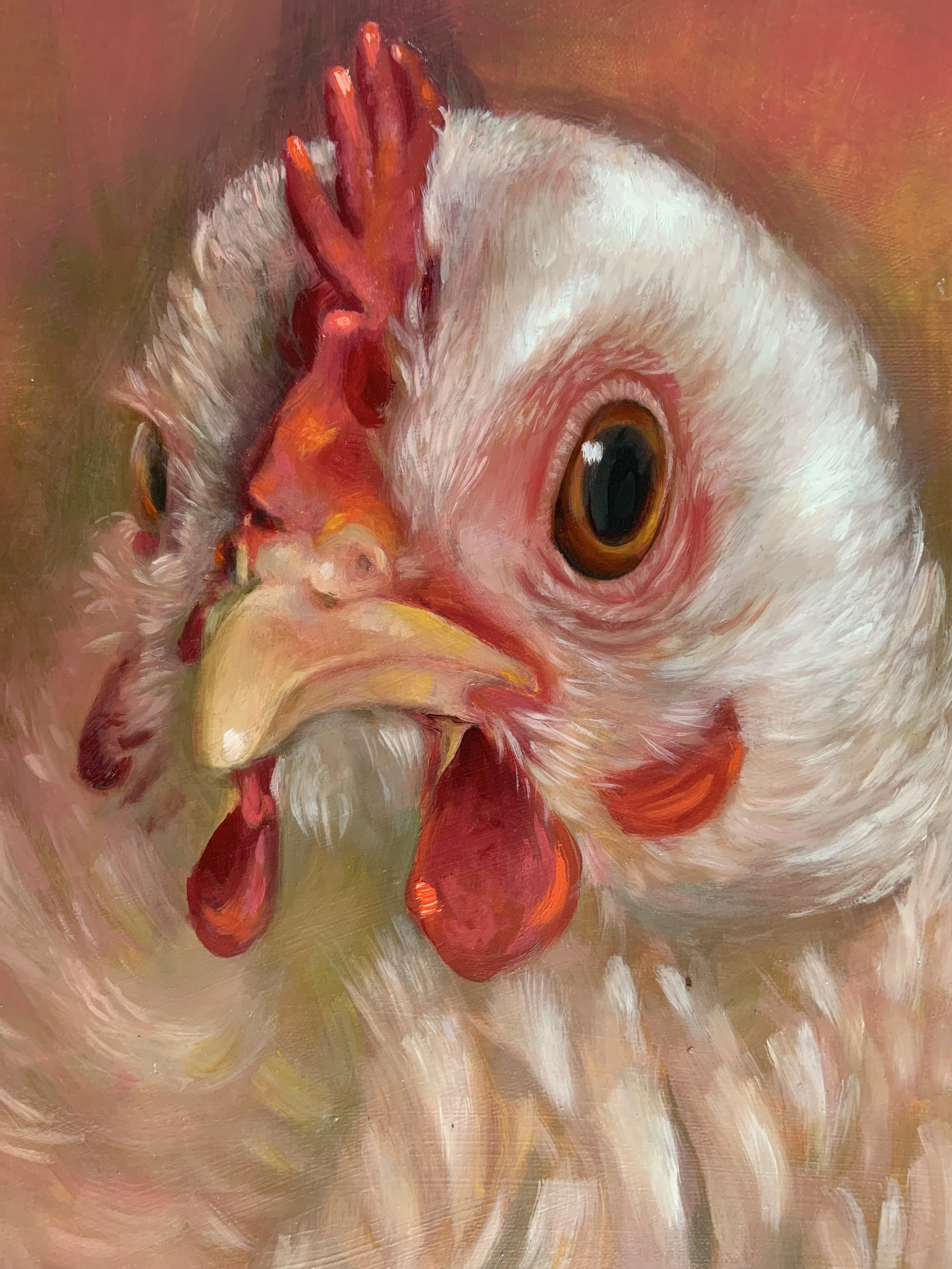 Chicken Gaze, Oil painting project