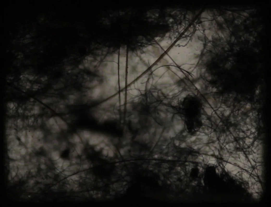 klipp (0-03-06-16).jpg