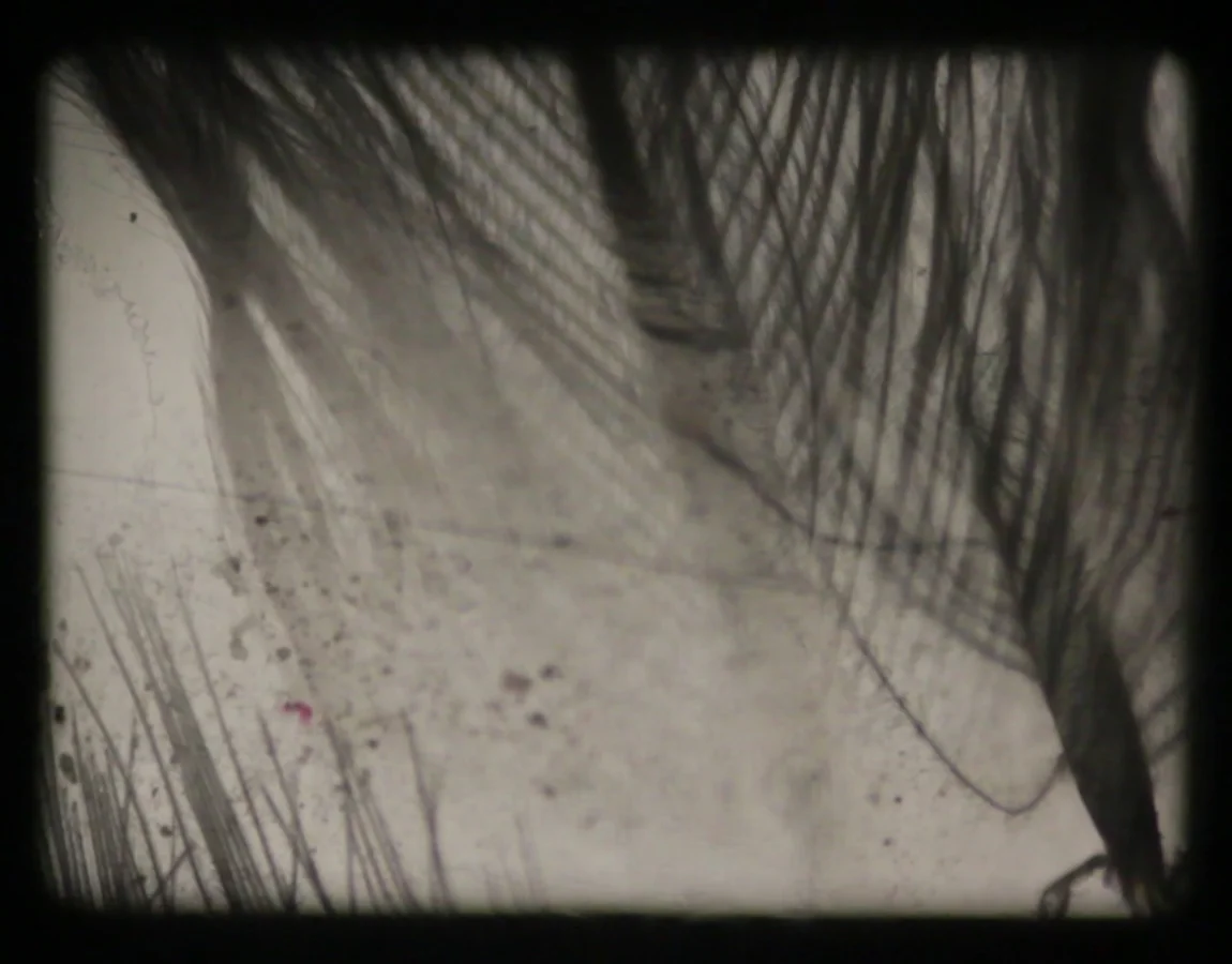 16mm experimental film