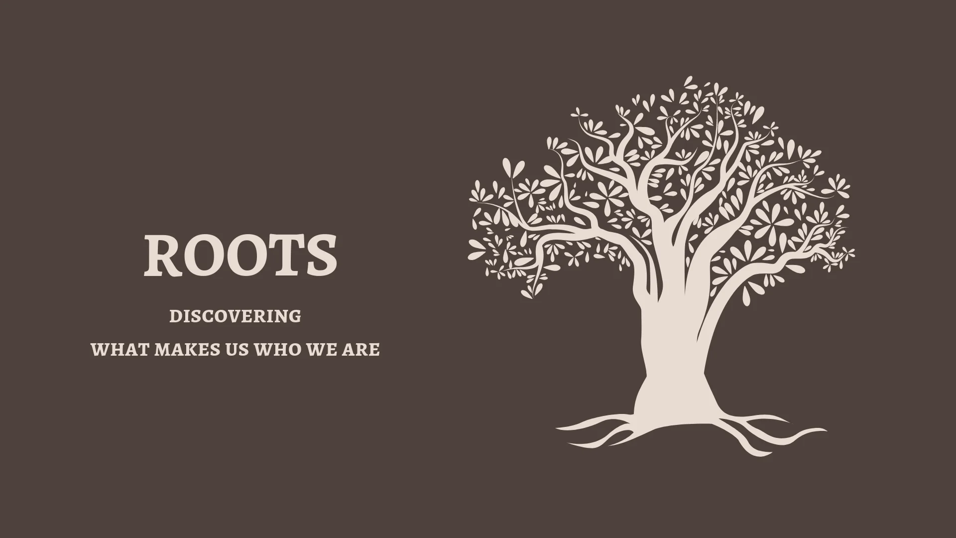 ROOTS - SERIES IMAGE.jpg