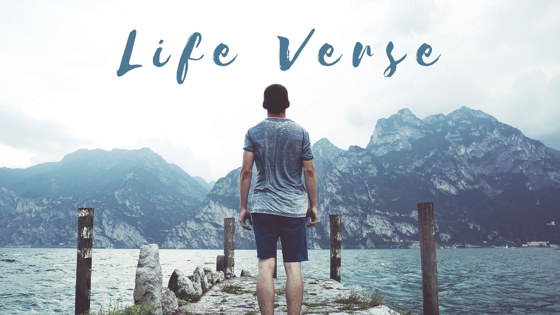 LIFE VERSE - Series Image.jpg
