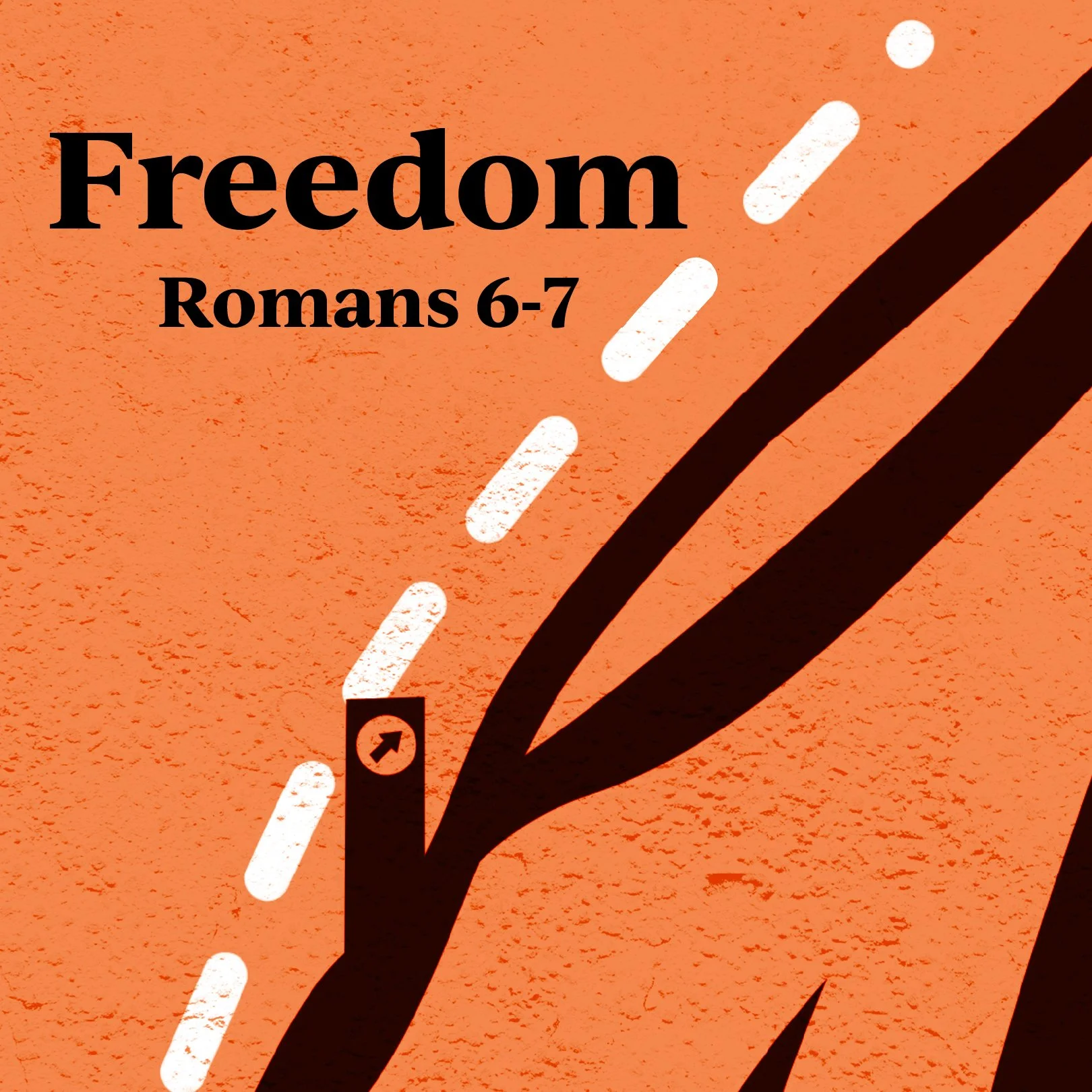 romans_socialmedia_squareArtboard 1 copy 18@1.5x-100.jpg