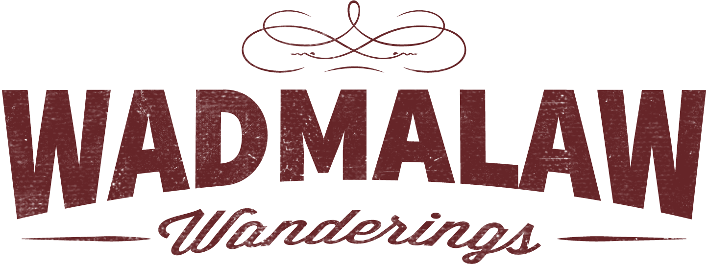 An untouched beauty, Wadmalaw Island is home to the nation's only working tea plantation, Charleston's only vineyard and winery, and the home of sweet tea vodka!