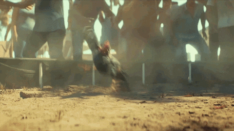 giphy-1.gif