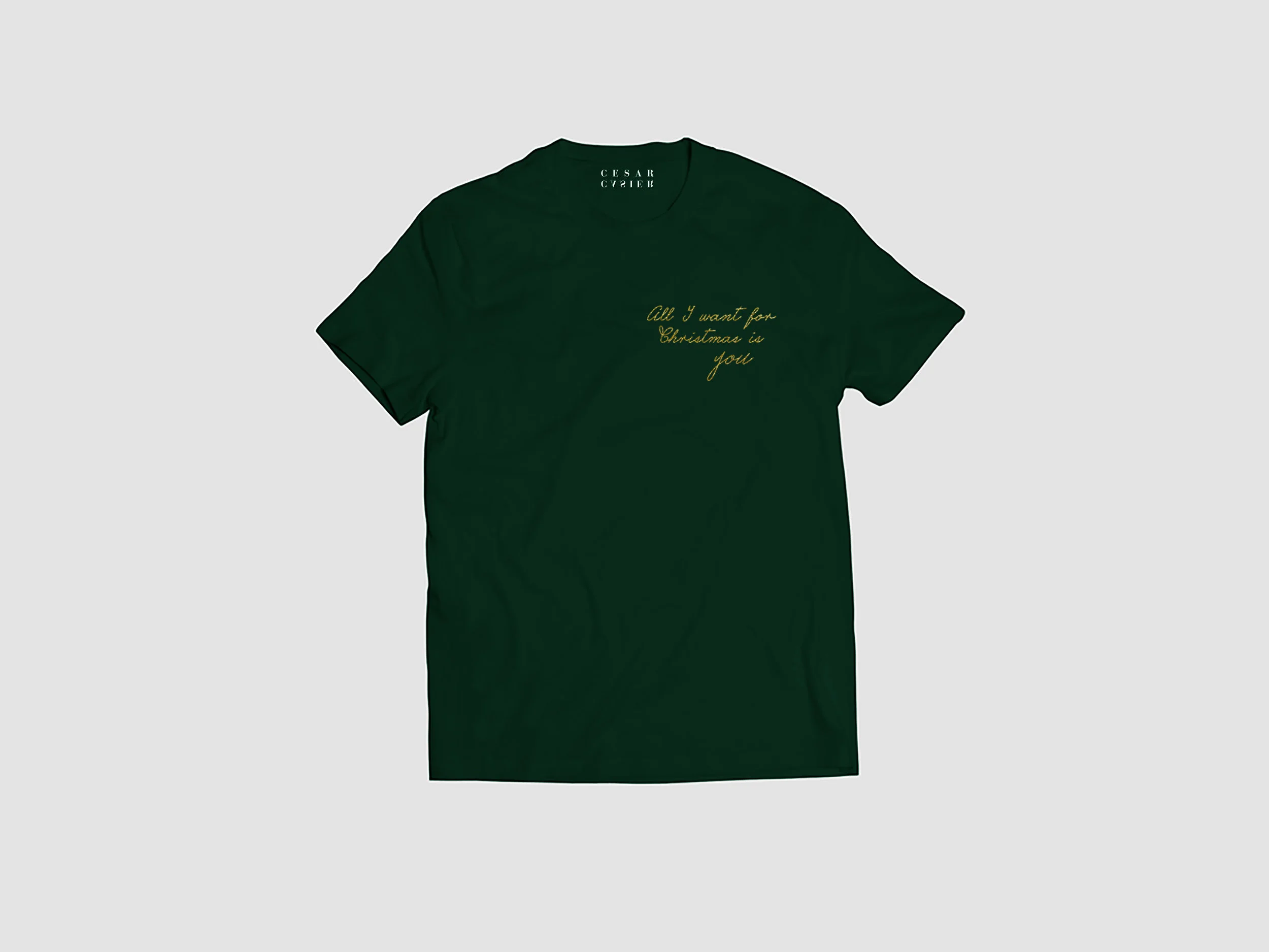 All I want for Christmas is you