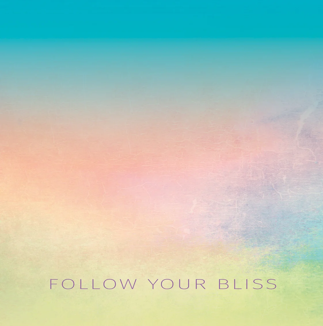 BP FRIEND Bliss STORE B  copy 2.jpg