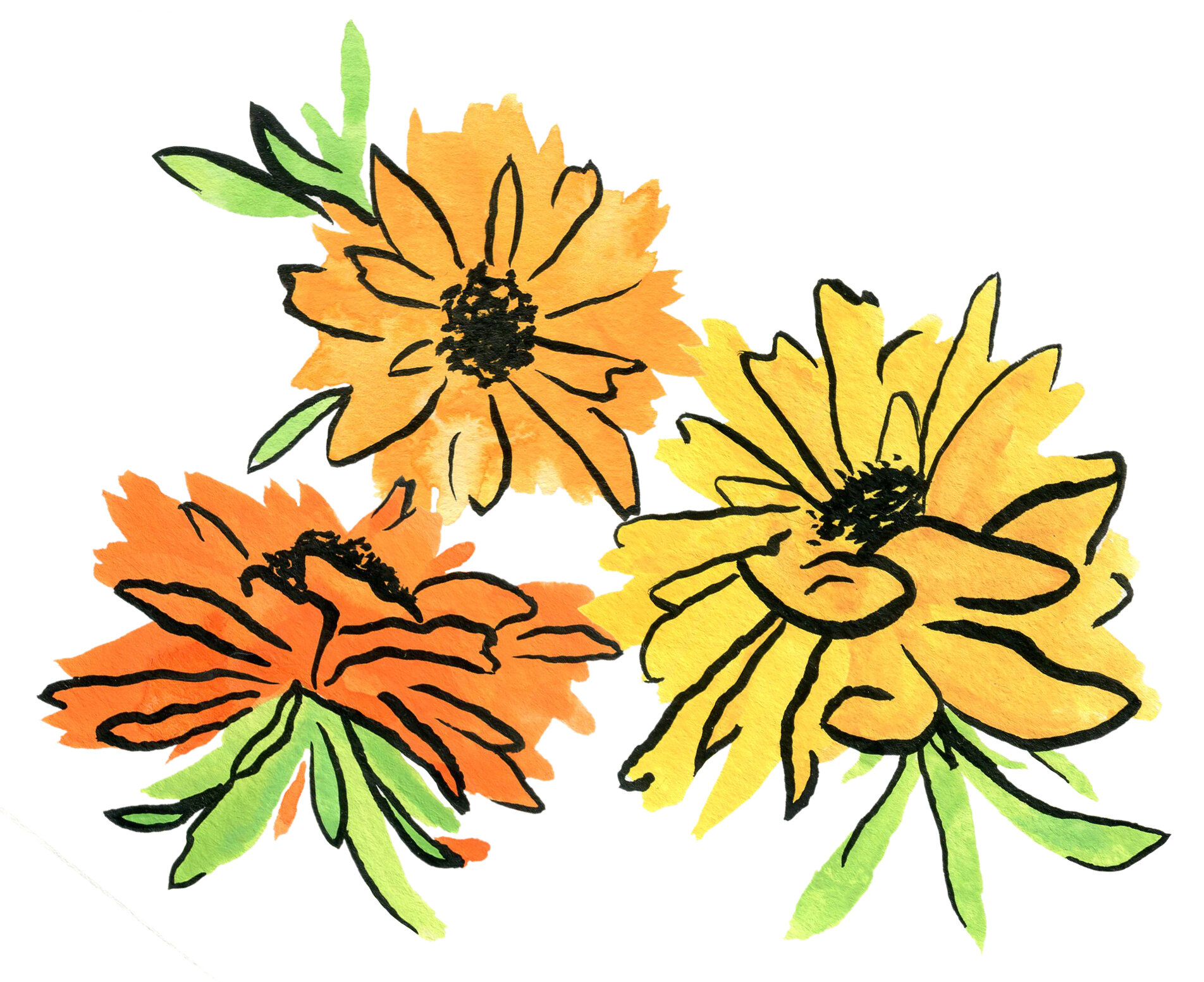 Yellow and Orange Flowers