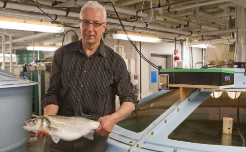 IMBC 2016 Plenaries Announced