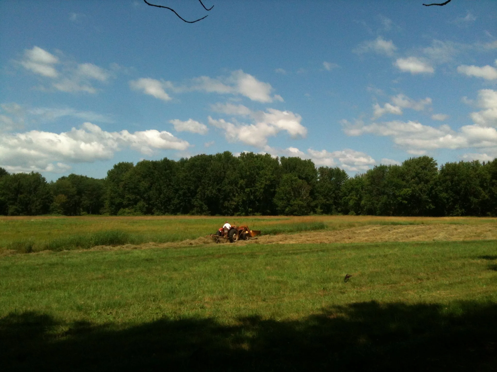 The Conservation Fund was key in protecting the open farm fields in South Tamworth (Bearcamp Valley Farm).