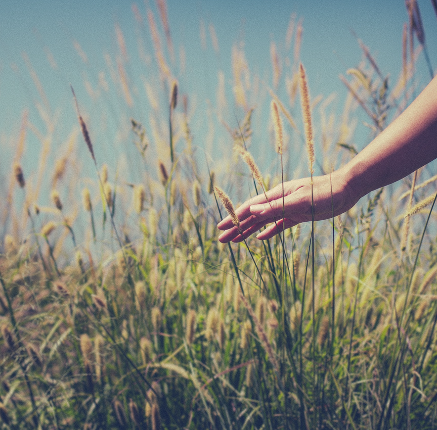 Sunday Services (12/28/25)