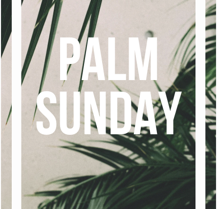 Palm Sunday Services (3/29/26)