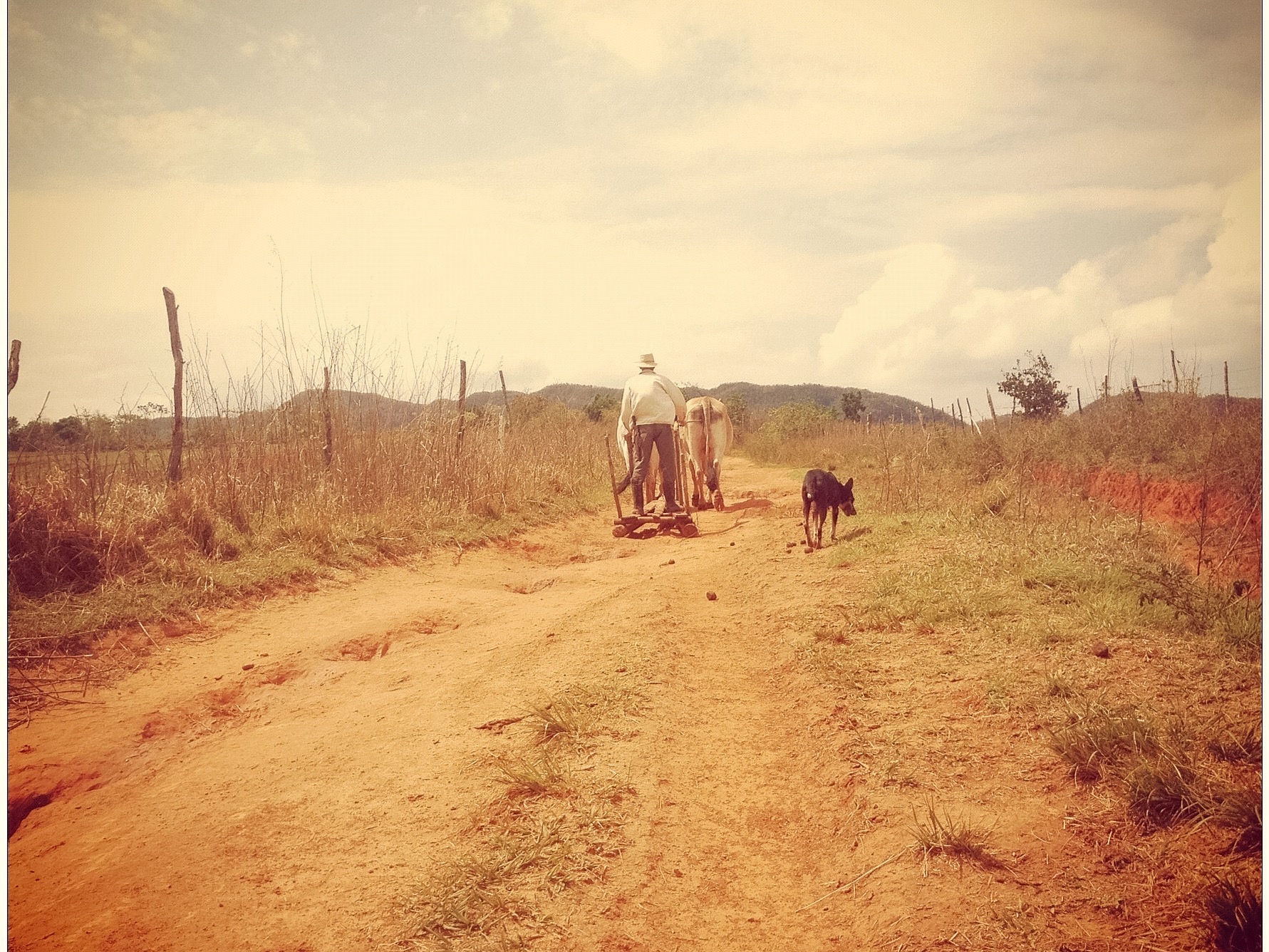 Viñales, Cuba