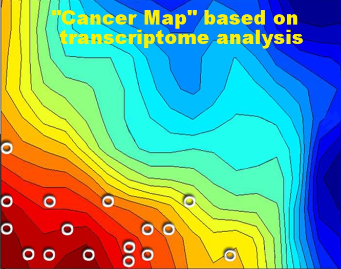 cancer map.jpg