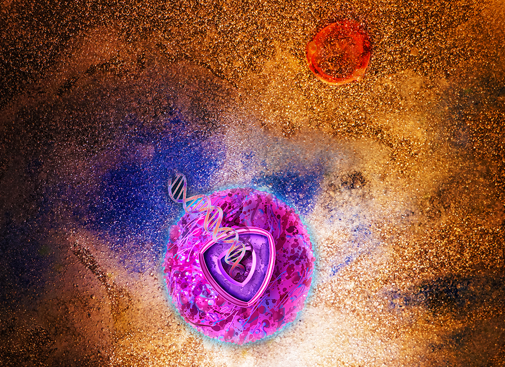Immuno-genomics in gynecologic caners
