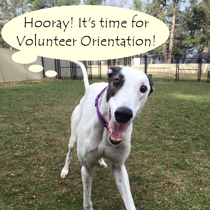 Volunteer Orientation