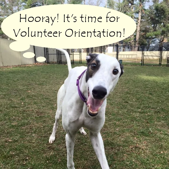 Volunteer Orientation