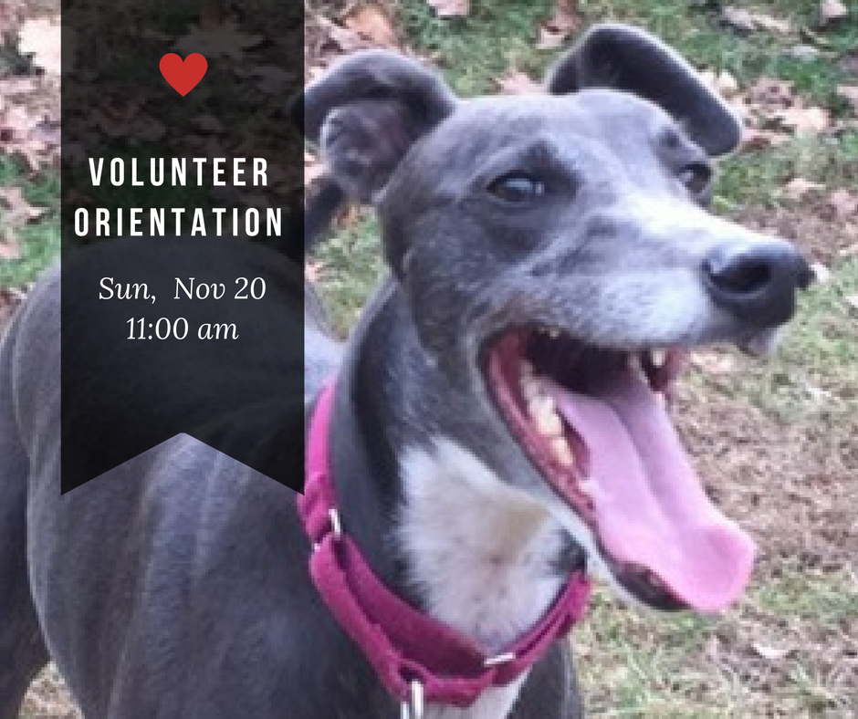 Volunteer Orientation