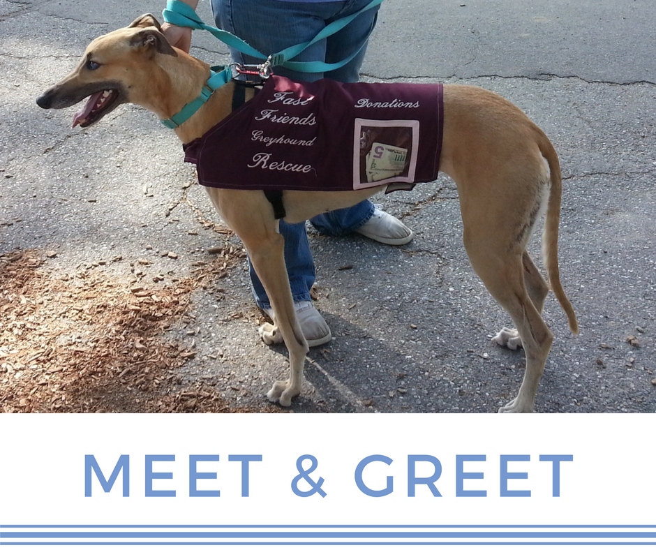 Meet & Greet