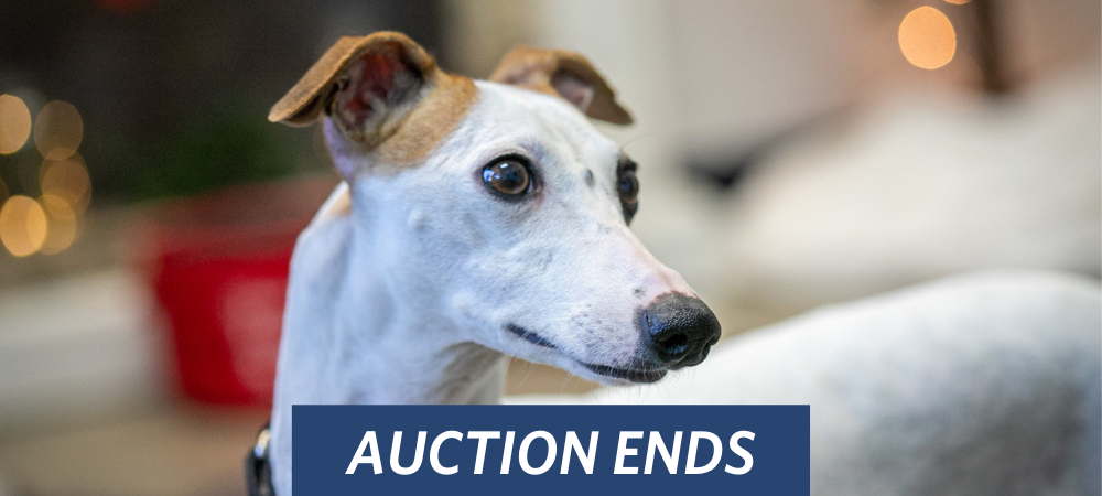Leap Year Auction Ends