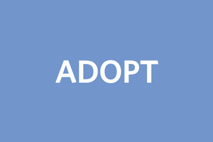 adopt.png