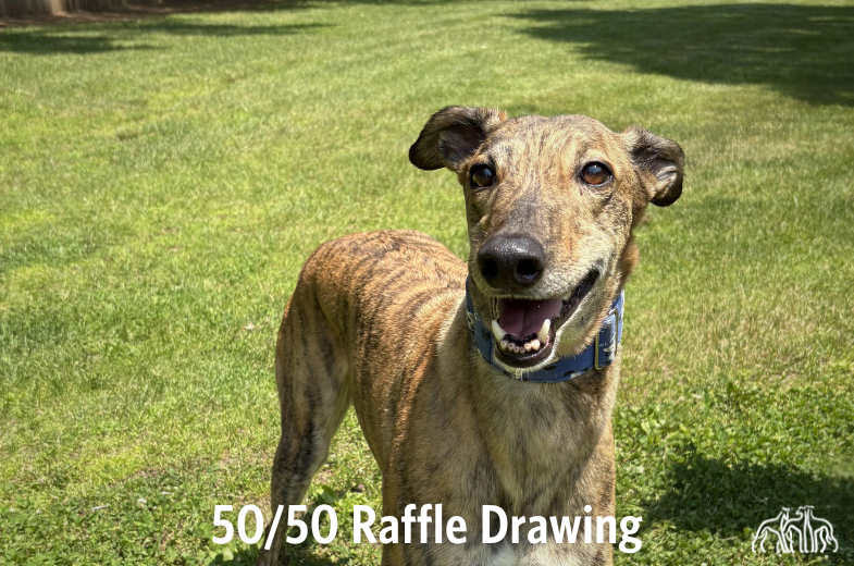 Summer Fun 50/50 Raffle Drawing