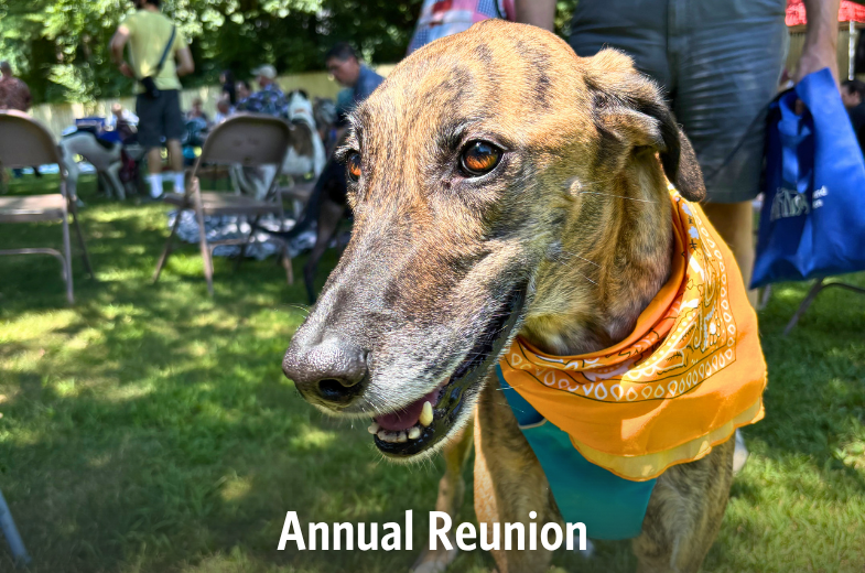 Annual Reunion