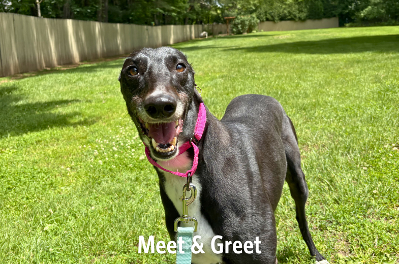 Meet &amp; Greet at AutoZone in Keene