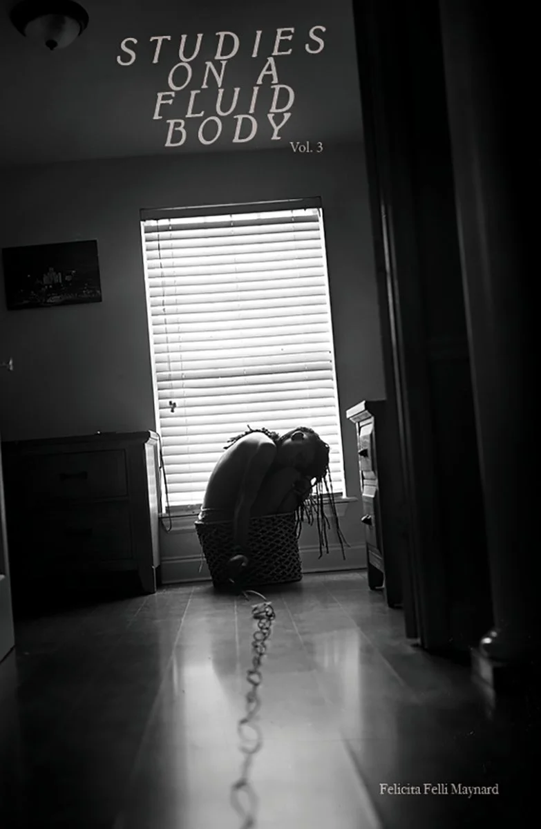 Felicita_Felli_Maynard_Studies_on_a_Fluid_Body_Vol_3_cover.jpg