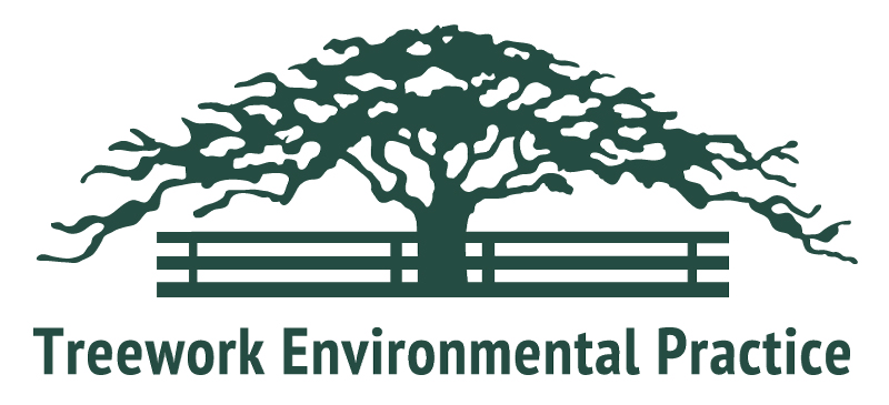 TreeWorkLogoCentreSmall.jpg