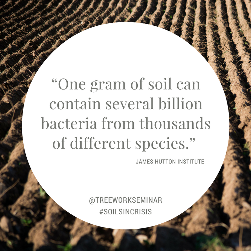 Soils in Crisis Quote 1.png