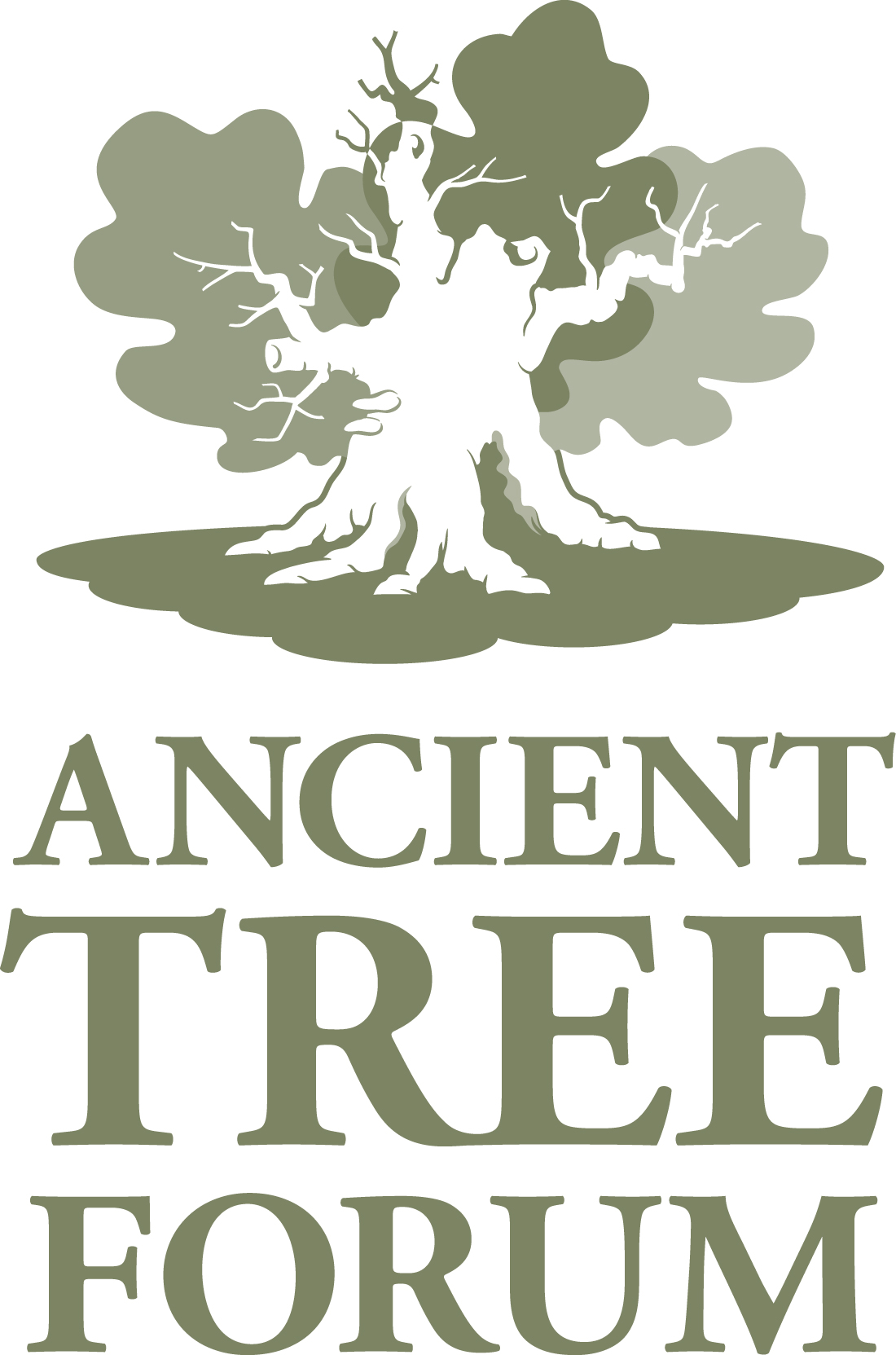 Ancient Tree Forum Logo 2014[1].jpg