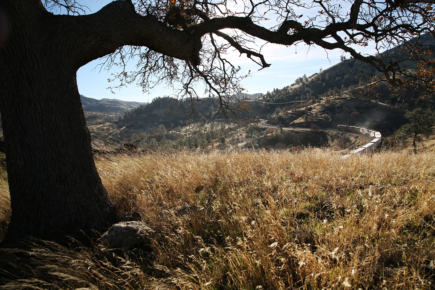 TEHACHAPI MOUNTAINS CALIFORNIA 2013. 