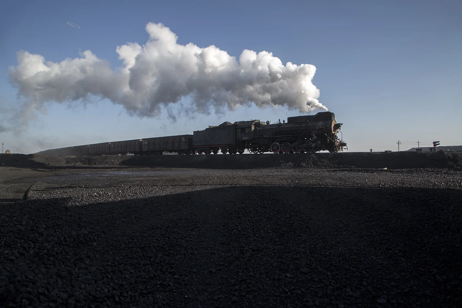 CJ8C7539-2lr.jpg