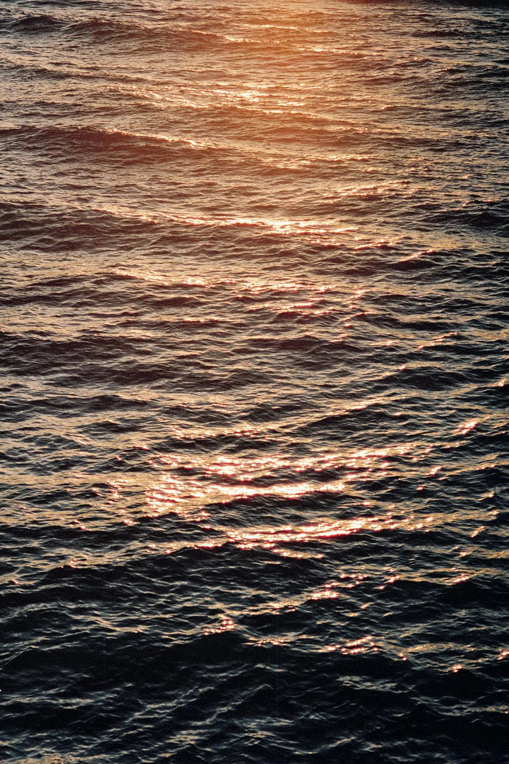 Sunset Côte - FILM 35mm