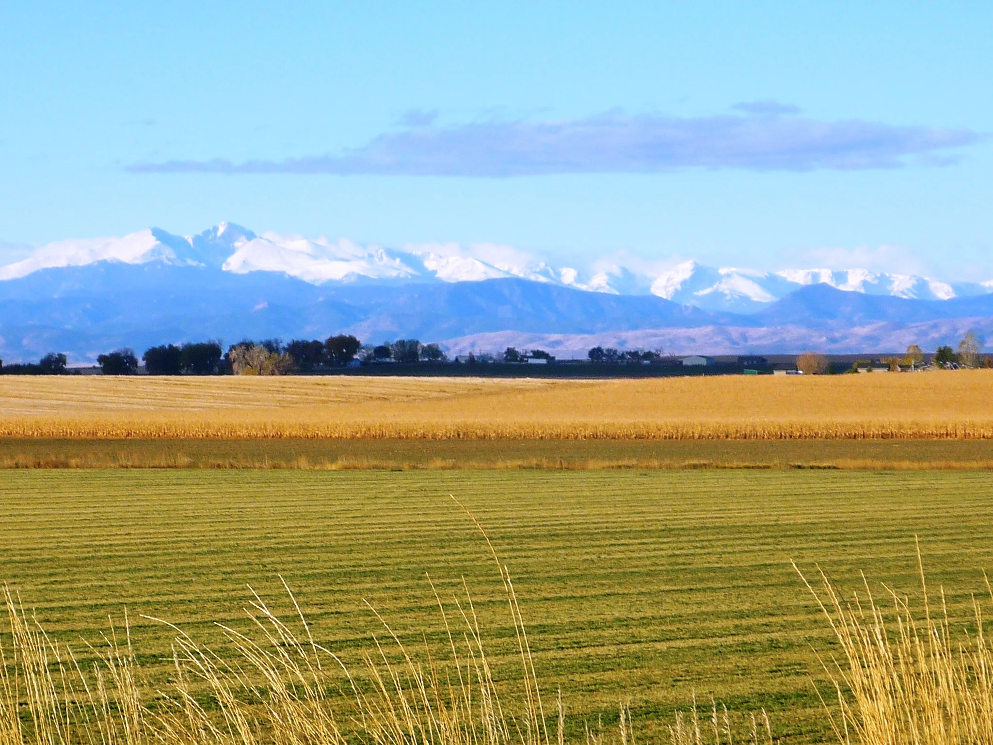 Drake Farm -Nov 2010.JPG