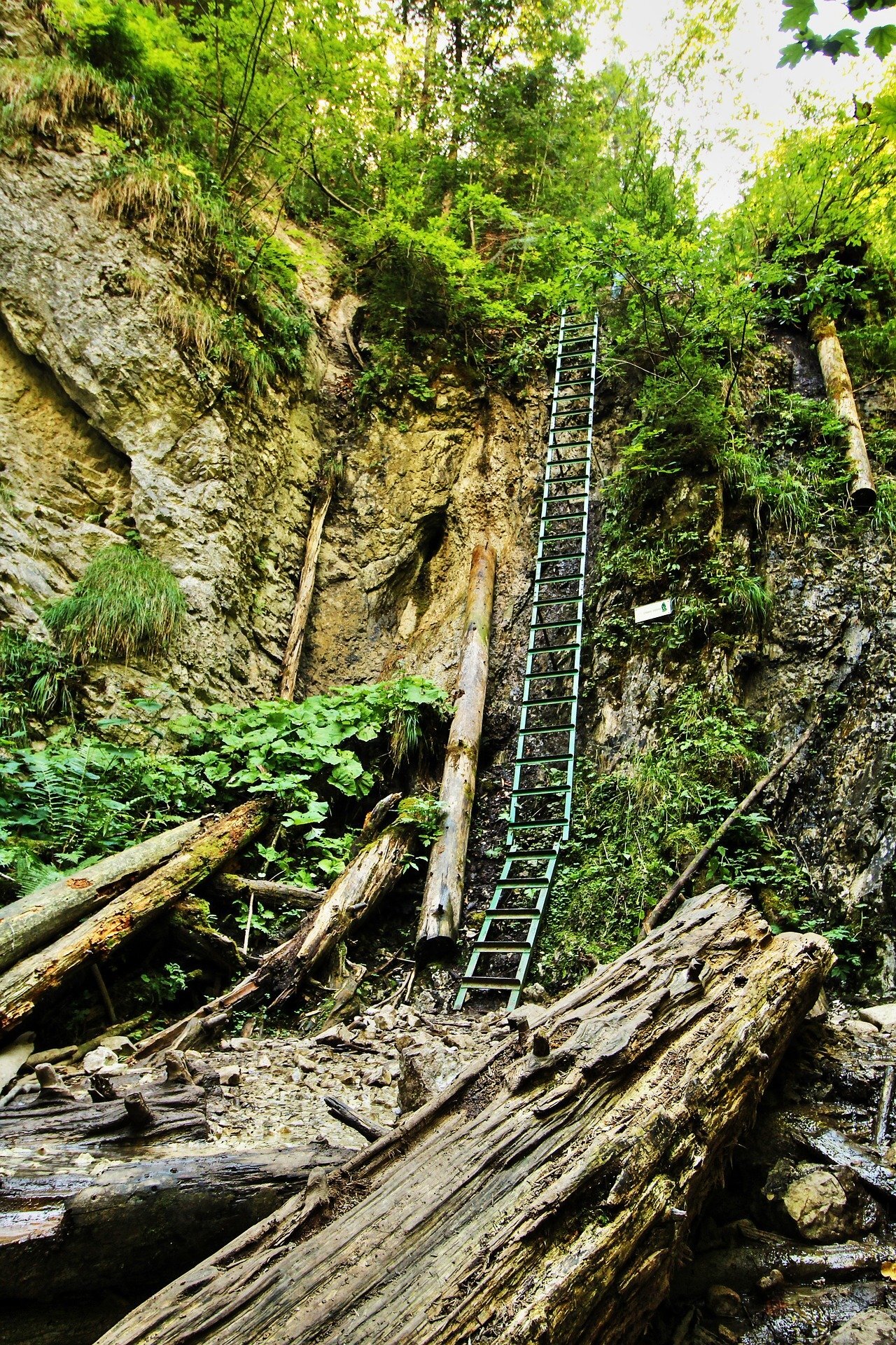 Chutes & Ladders