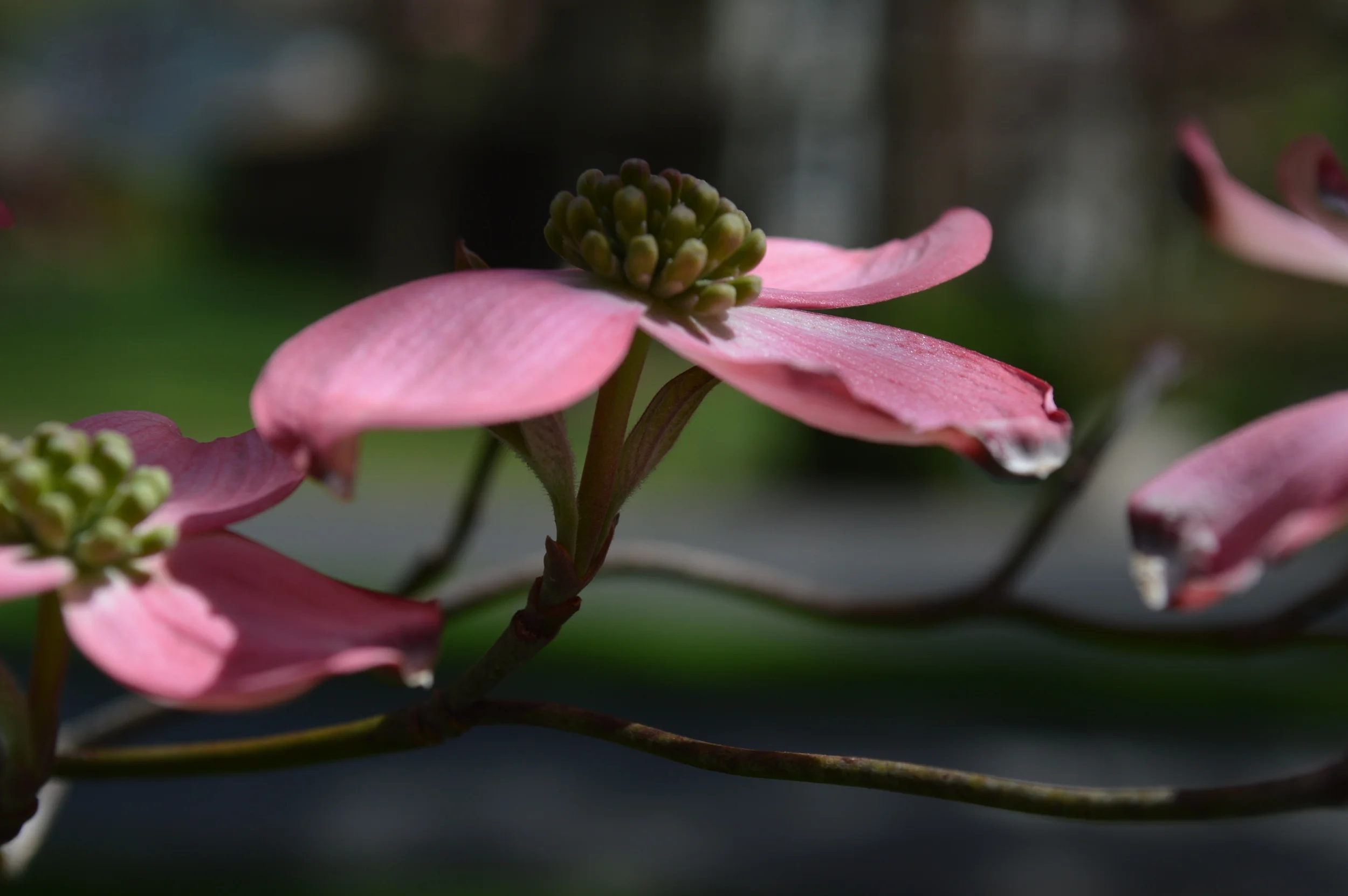 Self-compassion can ease anxiety