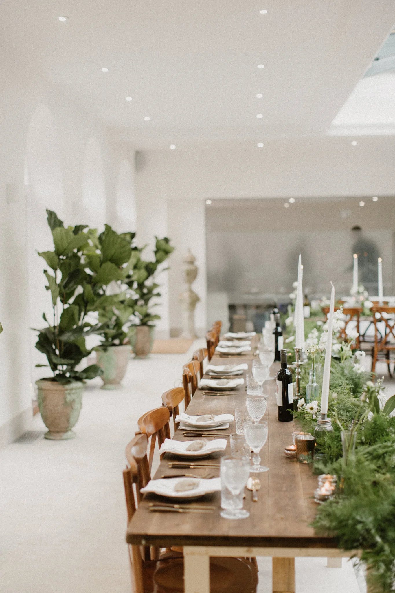  Photography:  Mary Parker   