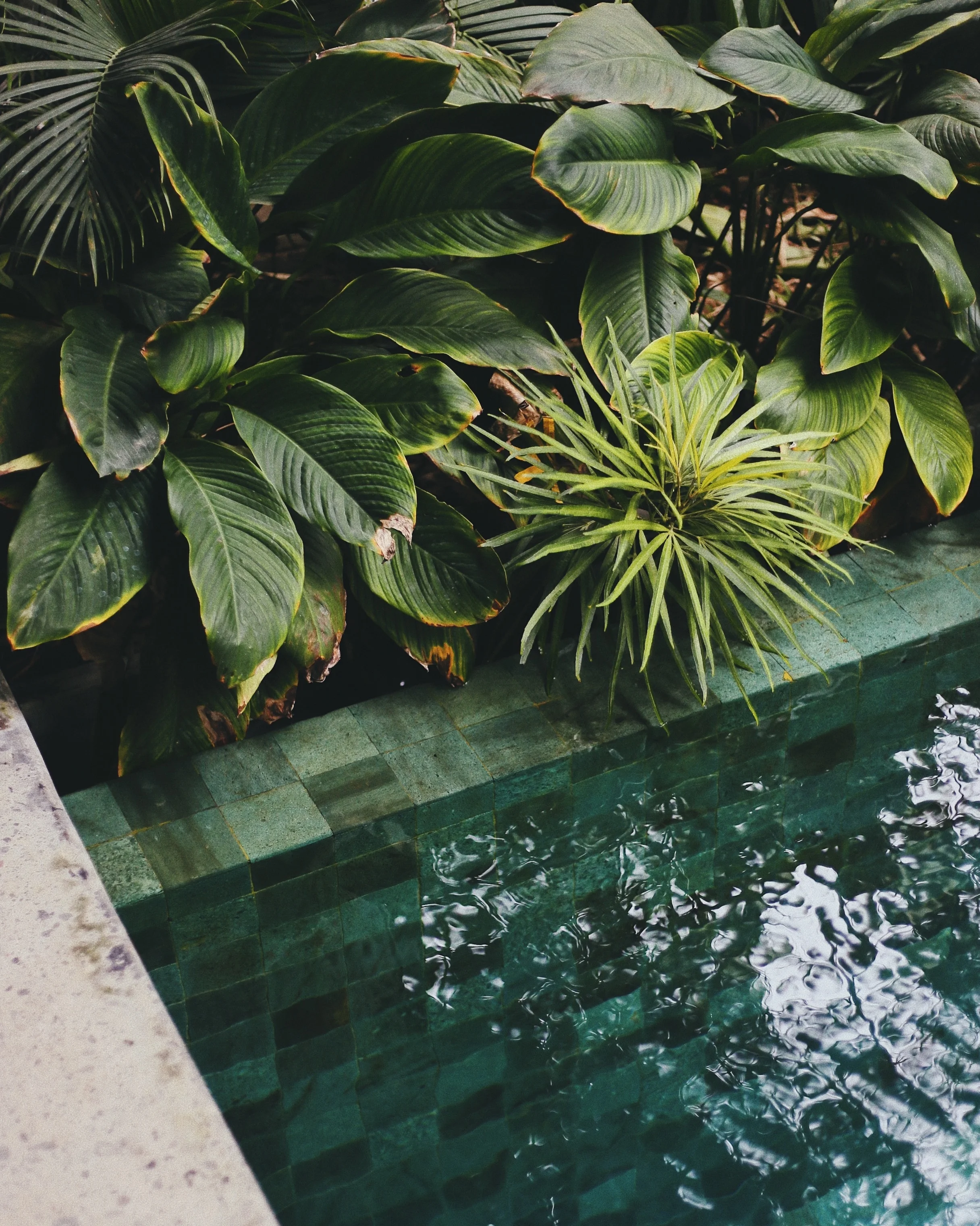 taylor-simpson-BRyJHPCyBlw-unsplash.jpg