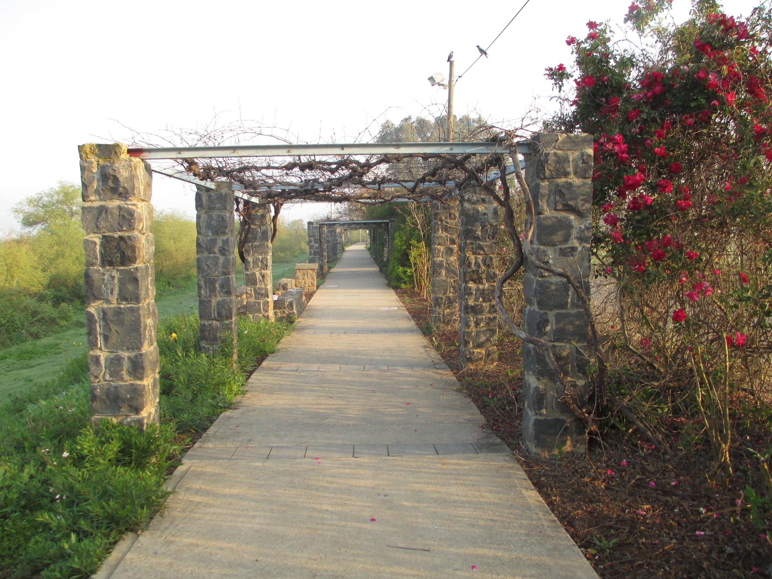 covered path.JPG