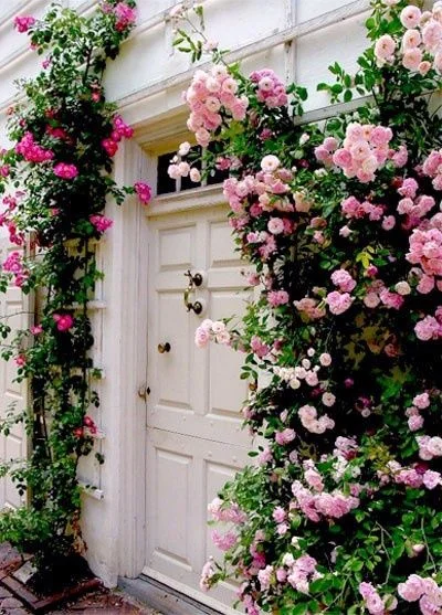 6 Ideas for a Pretty Front Door 
