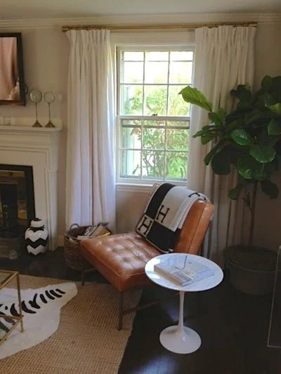 15 Realistic Faux Plants for the Home 